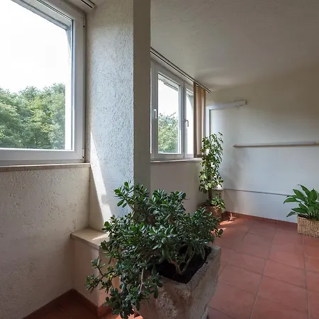 Vilea Apartamento
